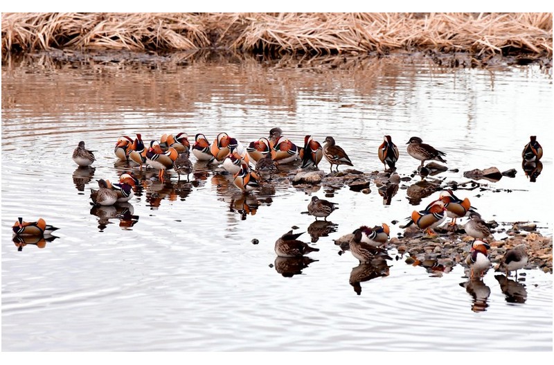 44일간 여정! 내년을 기약하며