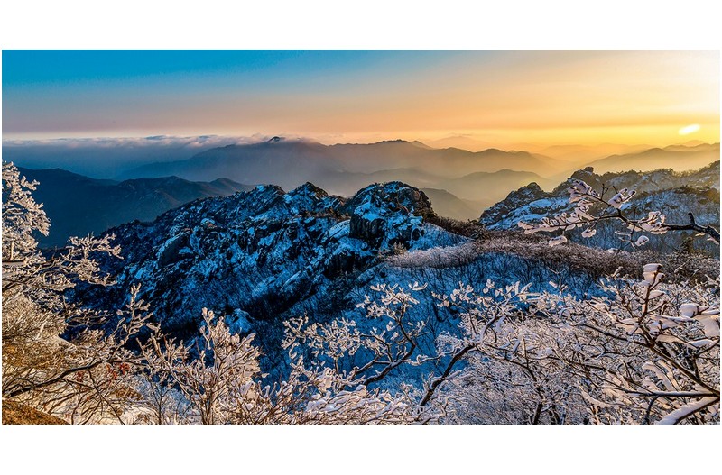 속리산의 겨울꽃