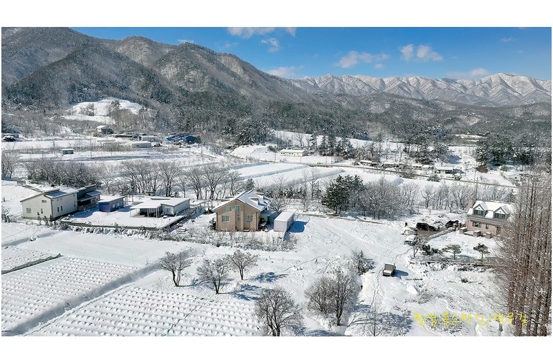 하늬라벤다팜 폭설