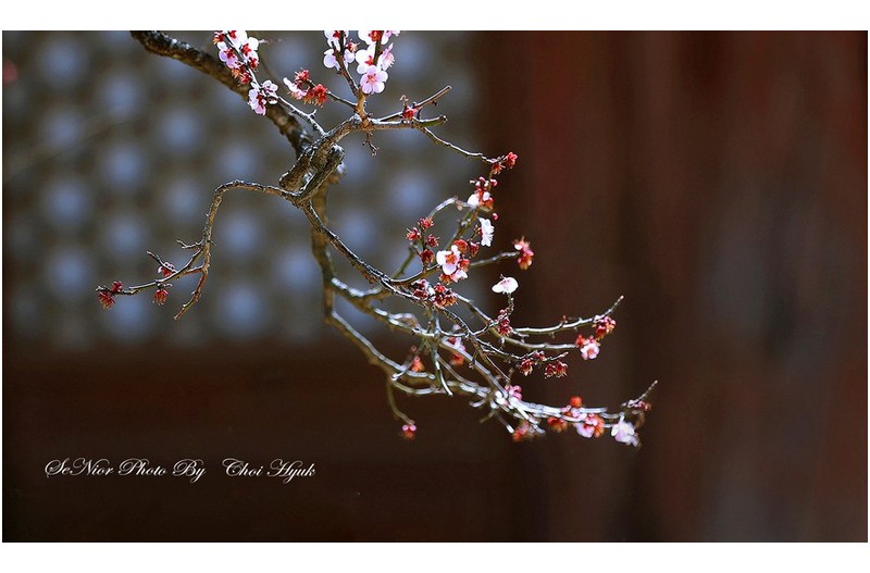 ㅡㅡㅡ   지금 그곳엔   ㅡㅡㅡ