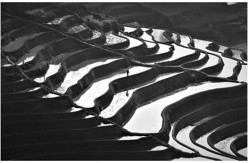 집으로 가는 아낙네