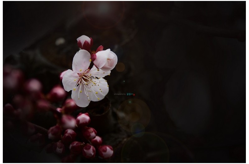 올해 팝콘이 일찍 터졌네요...