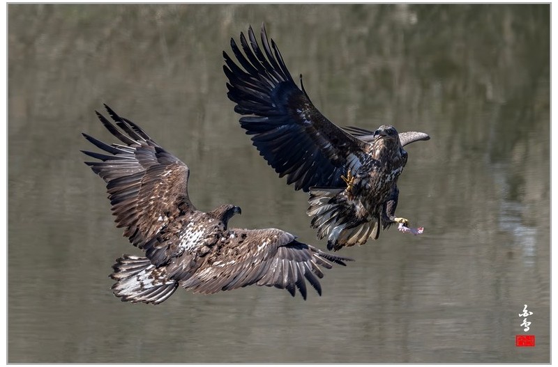 극적인 순간에 불청객이