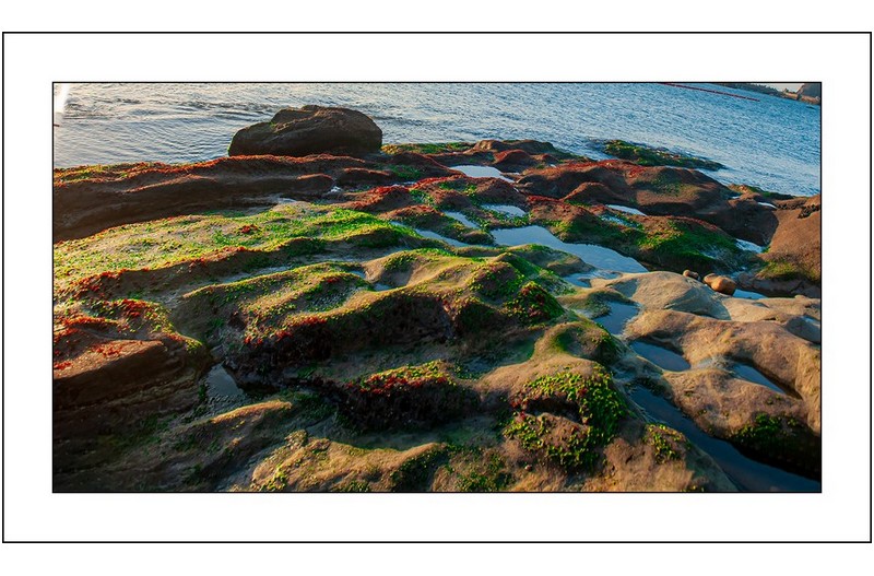 바닷가의 풍경...