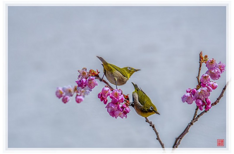 동배기하고 놀기