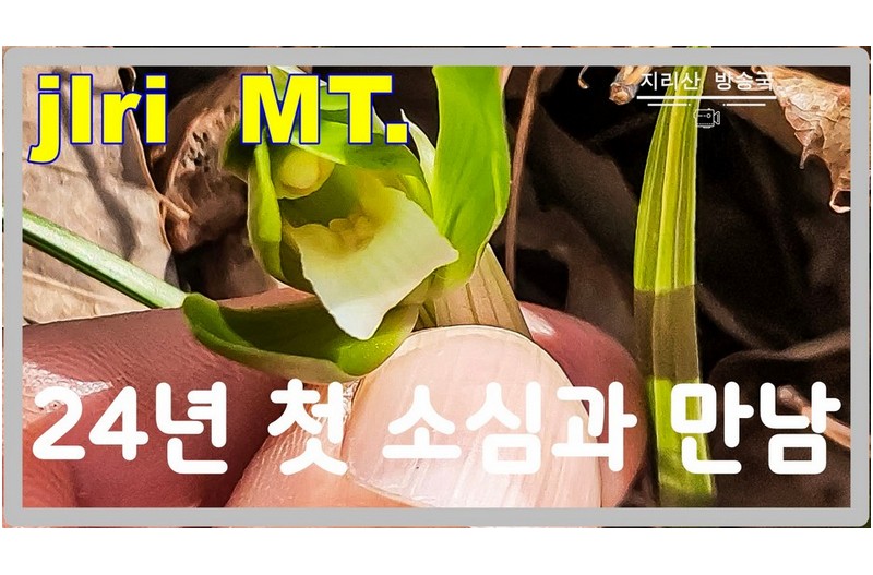 이런 난초를 만난다는 것은 신의 허락 없이는 불가능