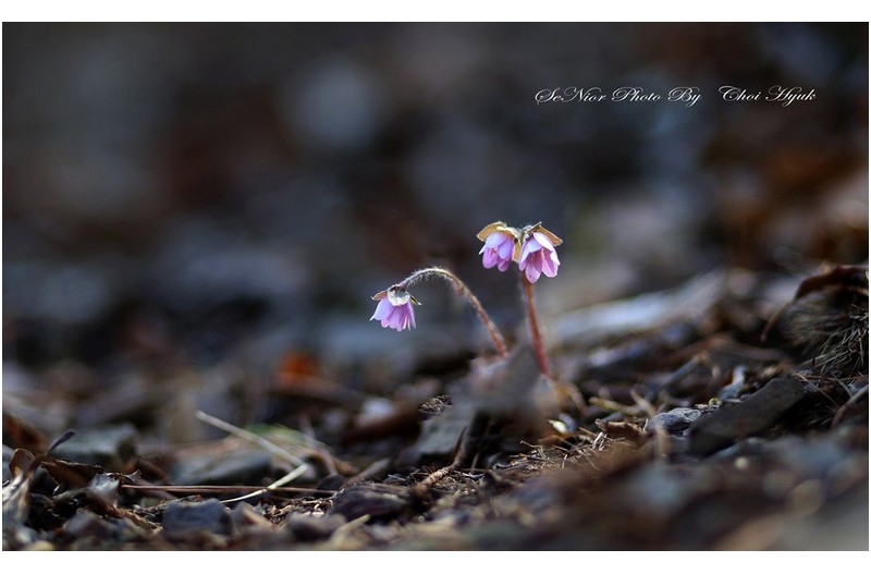 영진테크  2  ㅡㅡㅡ