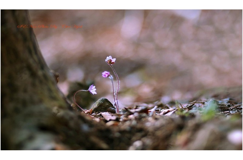 ㅡㅡㅡ   척과  2ㅡㅡㅡㅡ