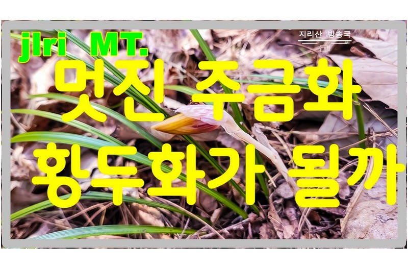 억대의 풀을 찾아라~