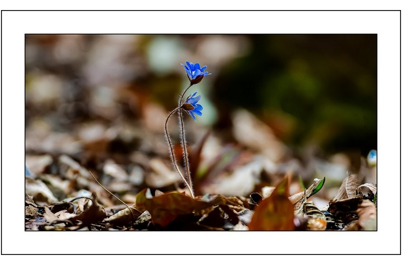 연인들의 이야기....
