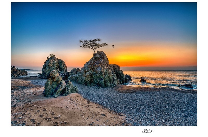 아침이 오는 바다