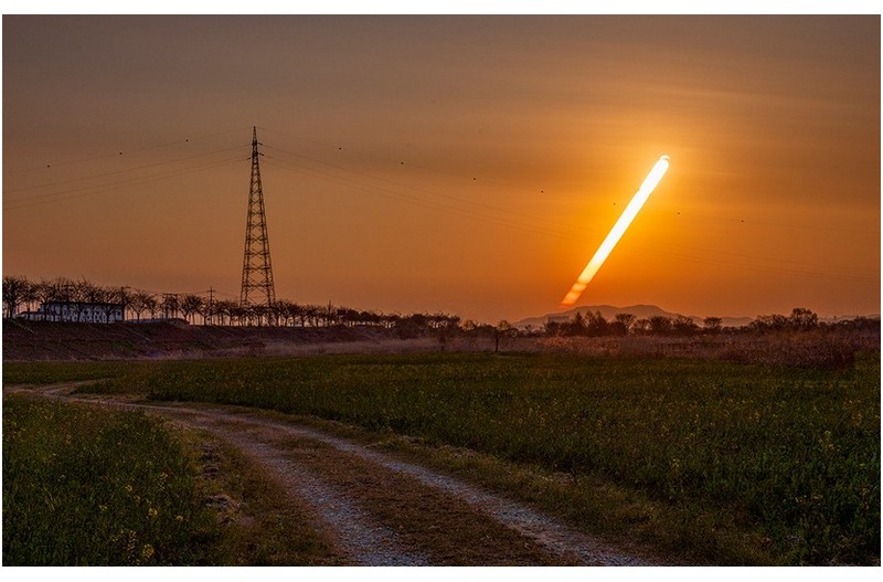 영산강(동섬)유채밭