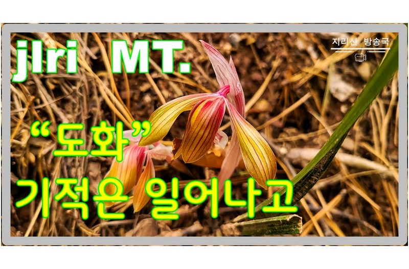 신이 내린 선물