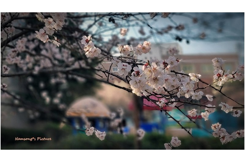 봄의 그림  -----