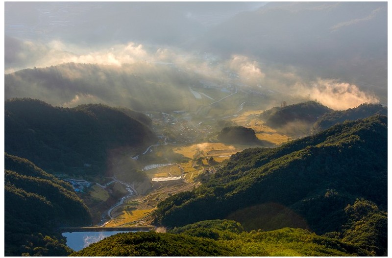 안개 속으로 . . .