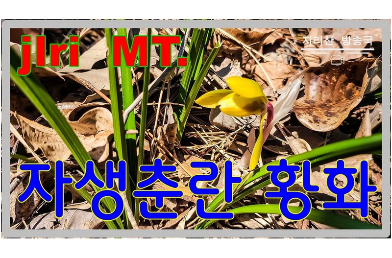 자연속 보물을 찾다