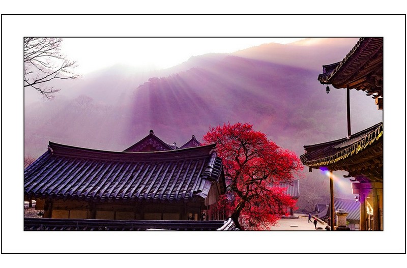 화엄사의 빛내림..