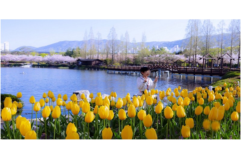 봄의 공원 풍경 ---