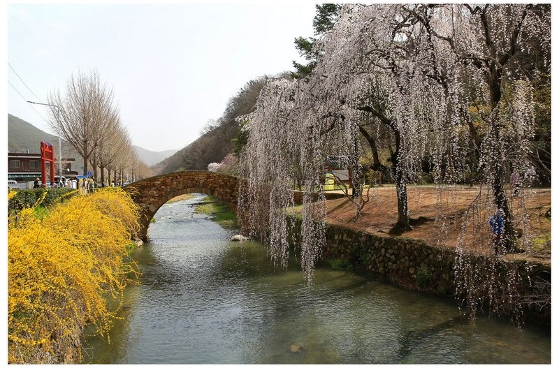 만년교 와 영산지
