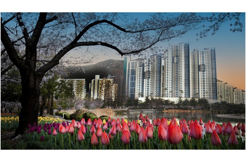 공원의 아침 ---