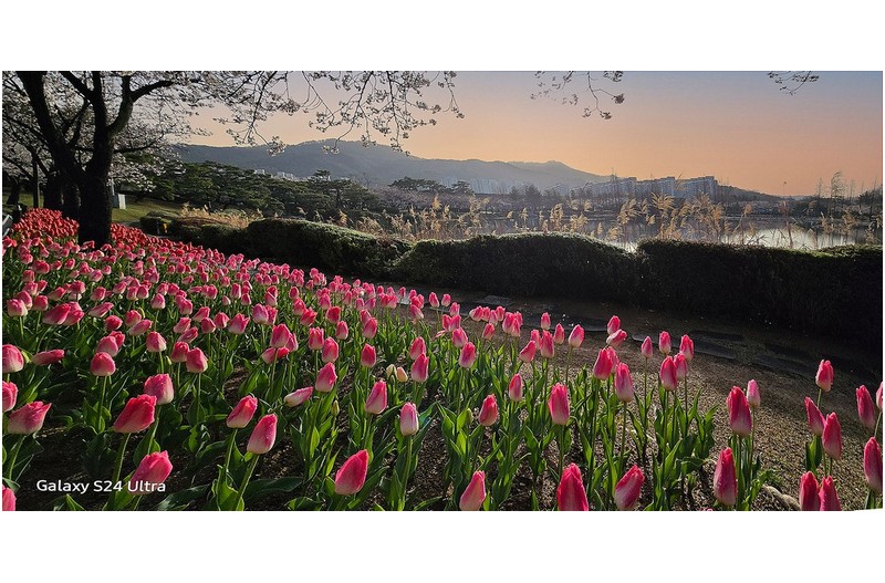 아름다운 봄날 -----