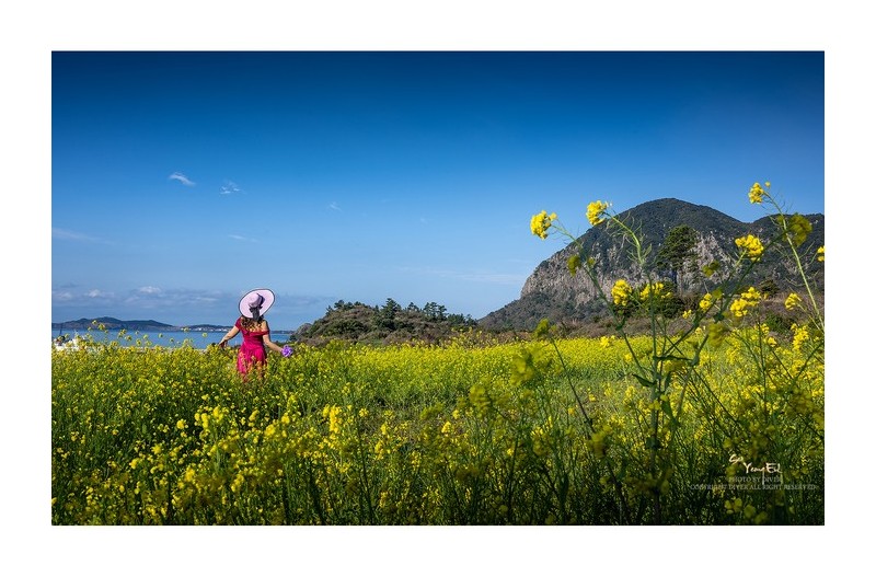 이 아름다운 봄날에...