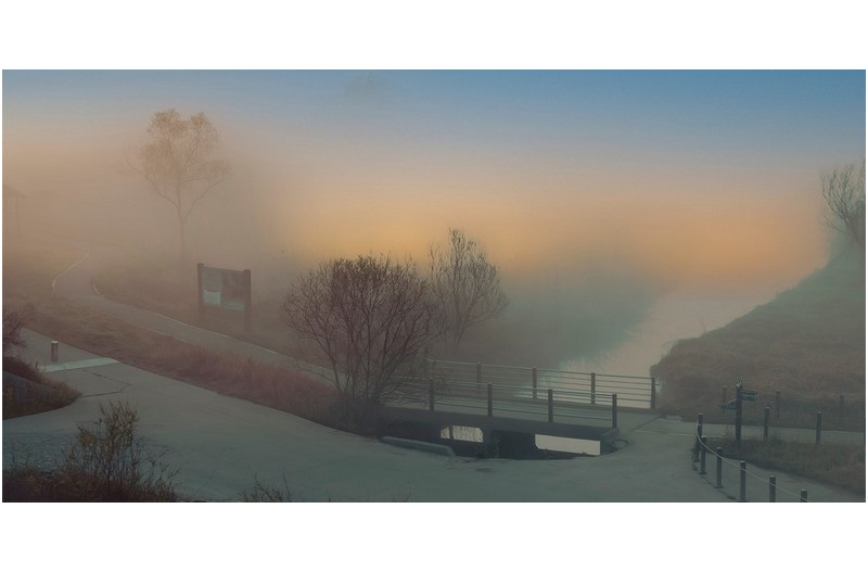 안개가 내리는 아침