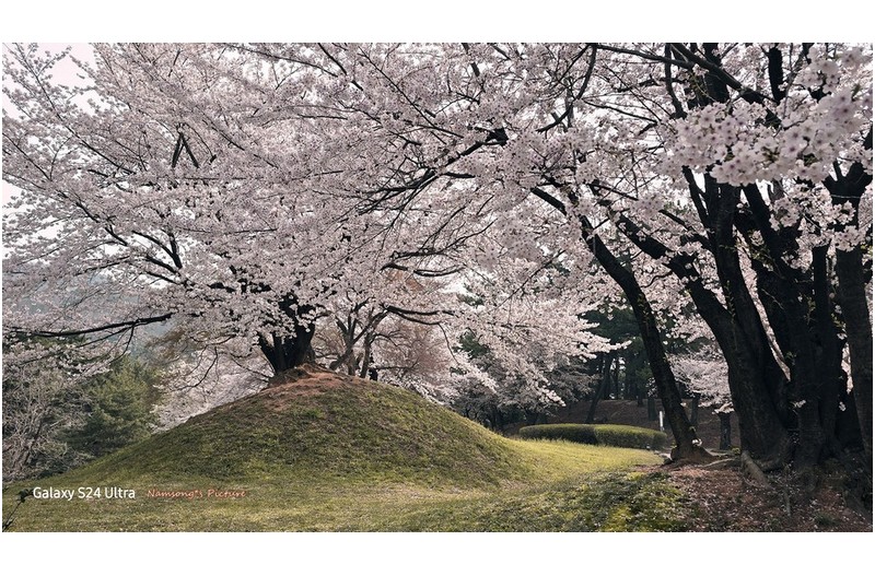 구지봉의 언덕에서 --