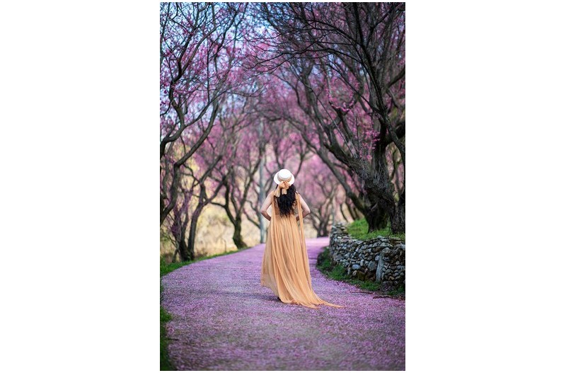 연경당 홍매화길