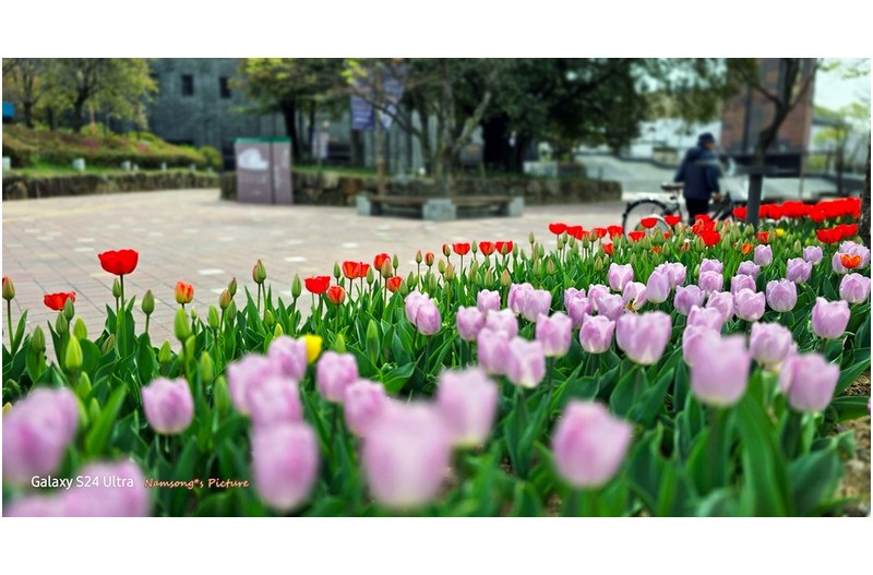 박물관 앞 길가에서 ----