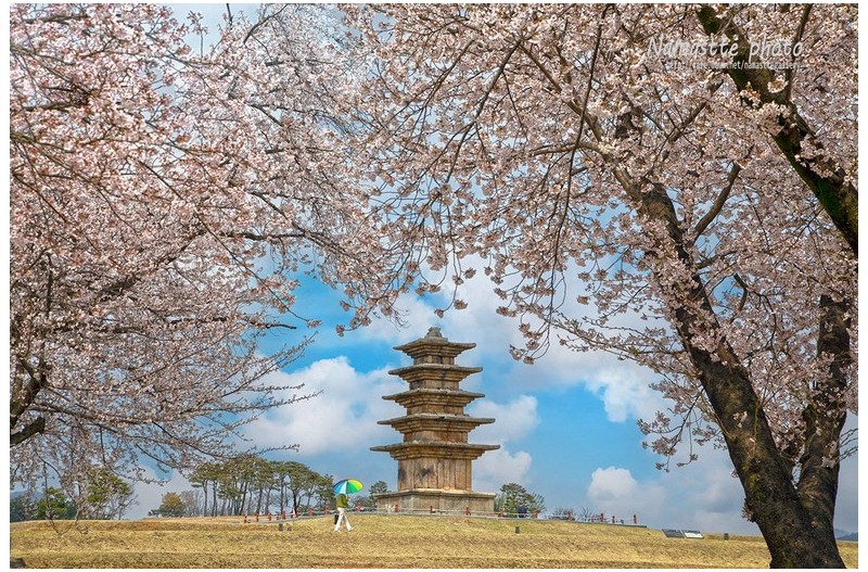  익산 왕궁리 오층석탑