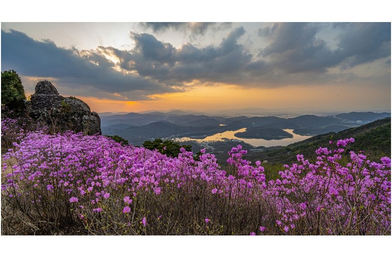 빛내림을 보러 갔건만
