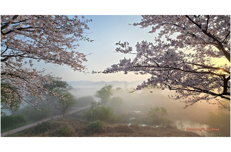 화포천의 안개 ------