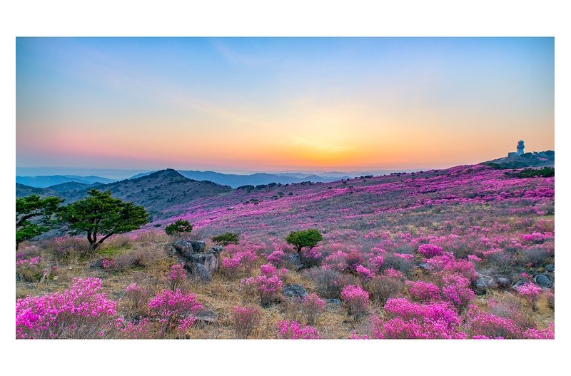 사진을 하다 보니...