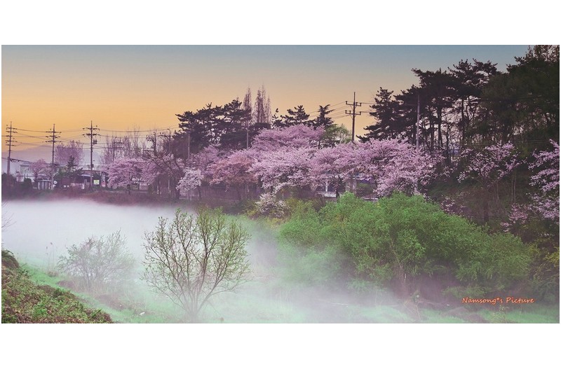 아침 안개가 내리던 순간에 ---