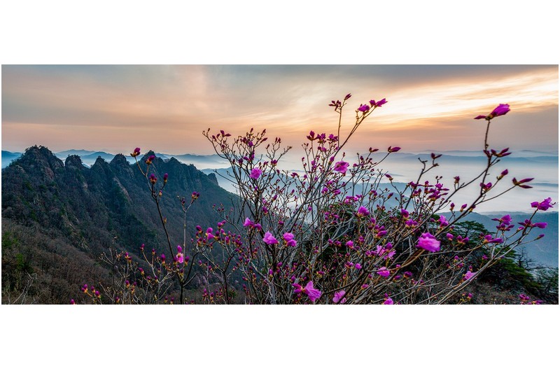 봄이시작됩니다.