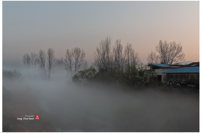 하천 뚝방의 안개