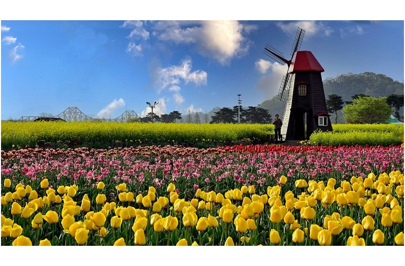 축제장의 아름다움 ----