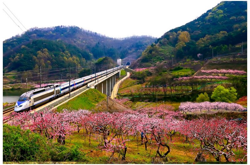 복사골 마을를 지나는 고속열차`