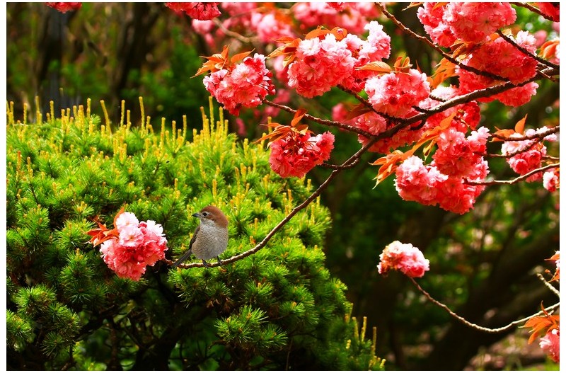 아름다운 곳에 멋진 세`
