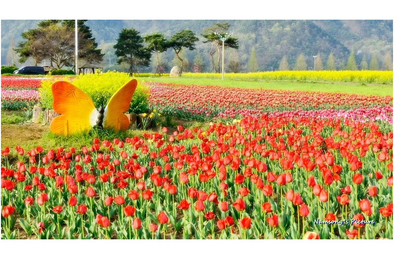 아름다운 화원에서 -----