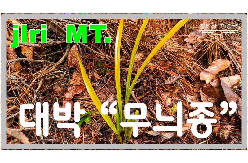 신이 내린 최고의 선물