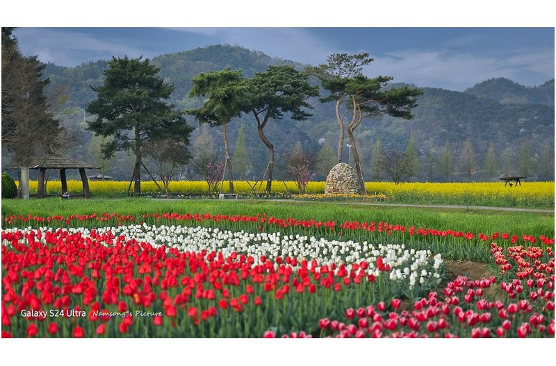 봄은 참 좋은 계절  ----