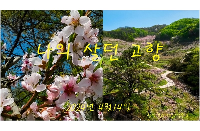 나의 살던고향