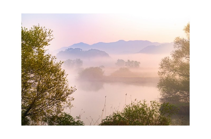 물안개 피는 아침