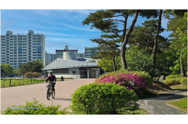 대성동 고분군 박물관이 보이는 풍경 ---