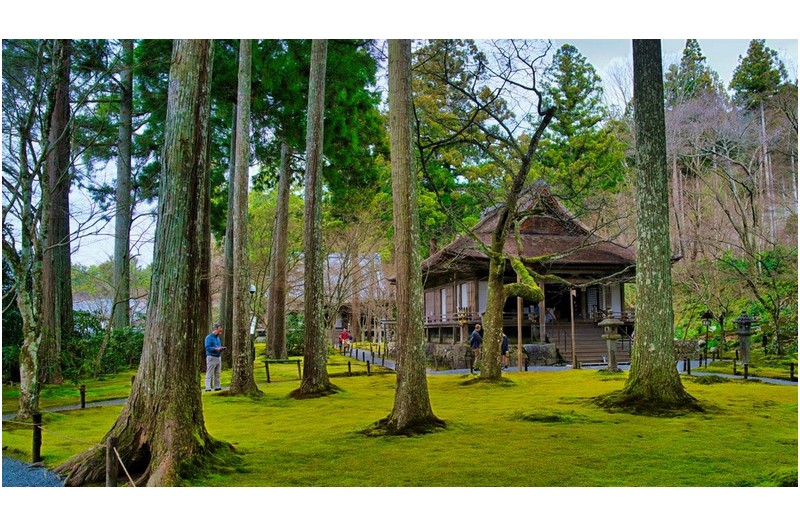 교토 산제인 이끼정원