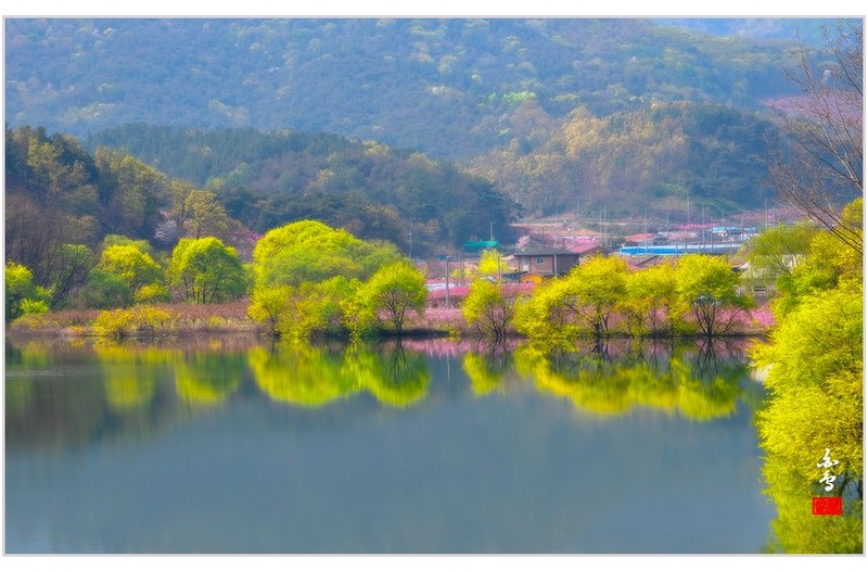 복사꽃이 아름다운날에