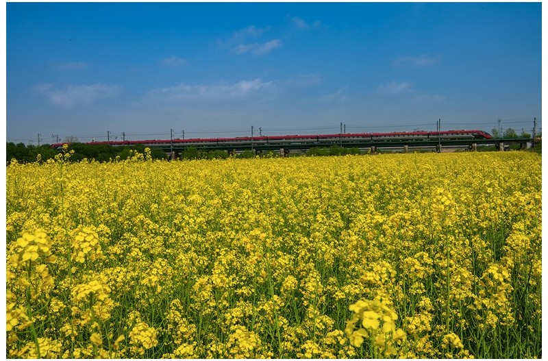 기찻길옆 유체밭