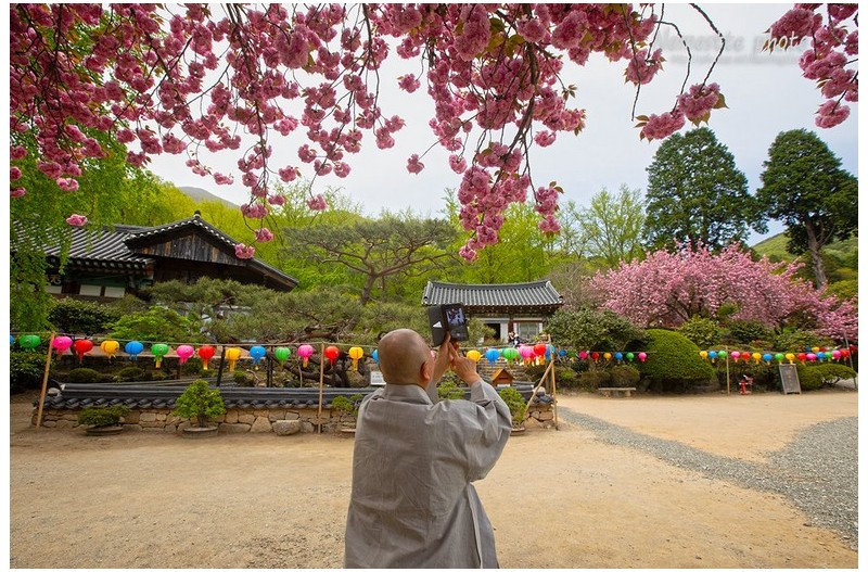 스님은 사진 작가